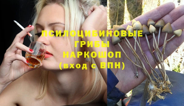прущая мука Абаза